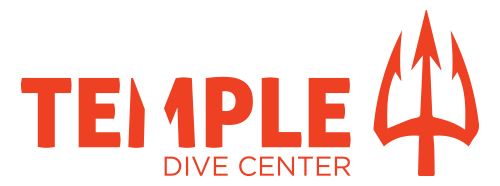 Temple Diving - PADI Diving Course - Scuba diving bali